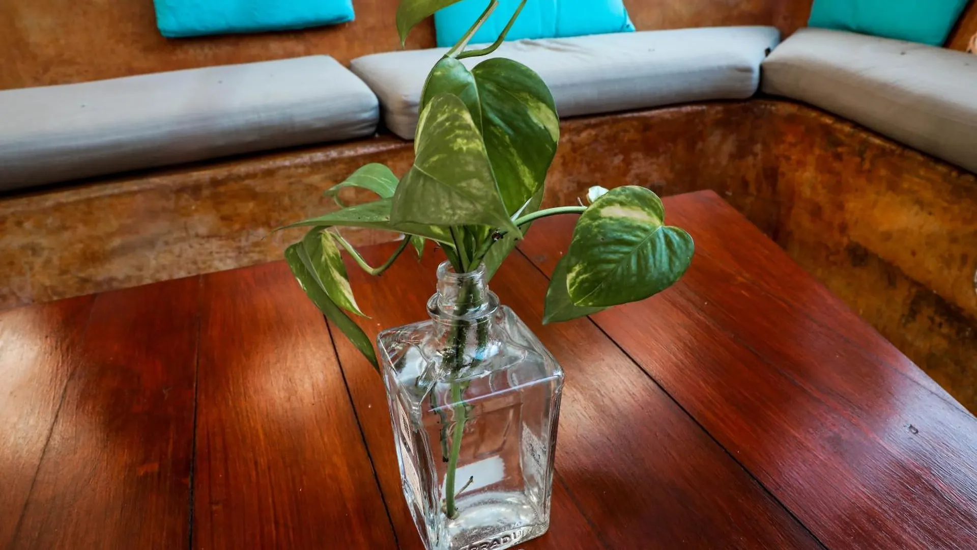 Ana Oasis Tulum Aldea Z Apartment