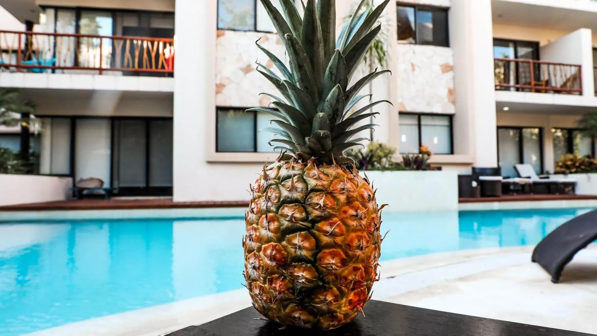 Ana Oasis Tulum Aldea Z Apartment